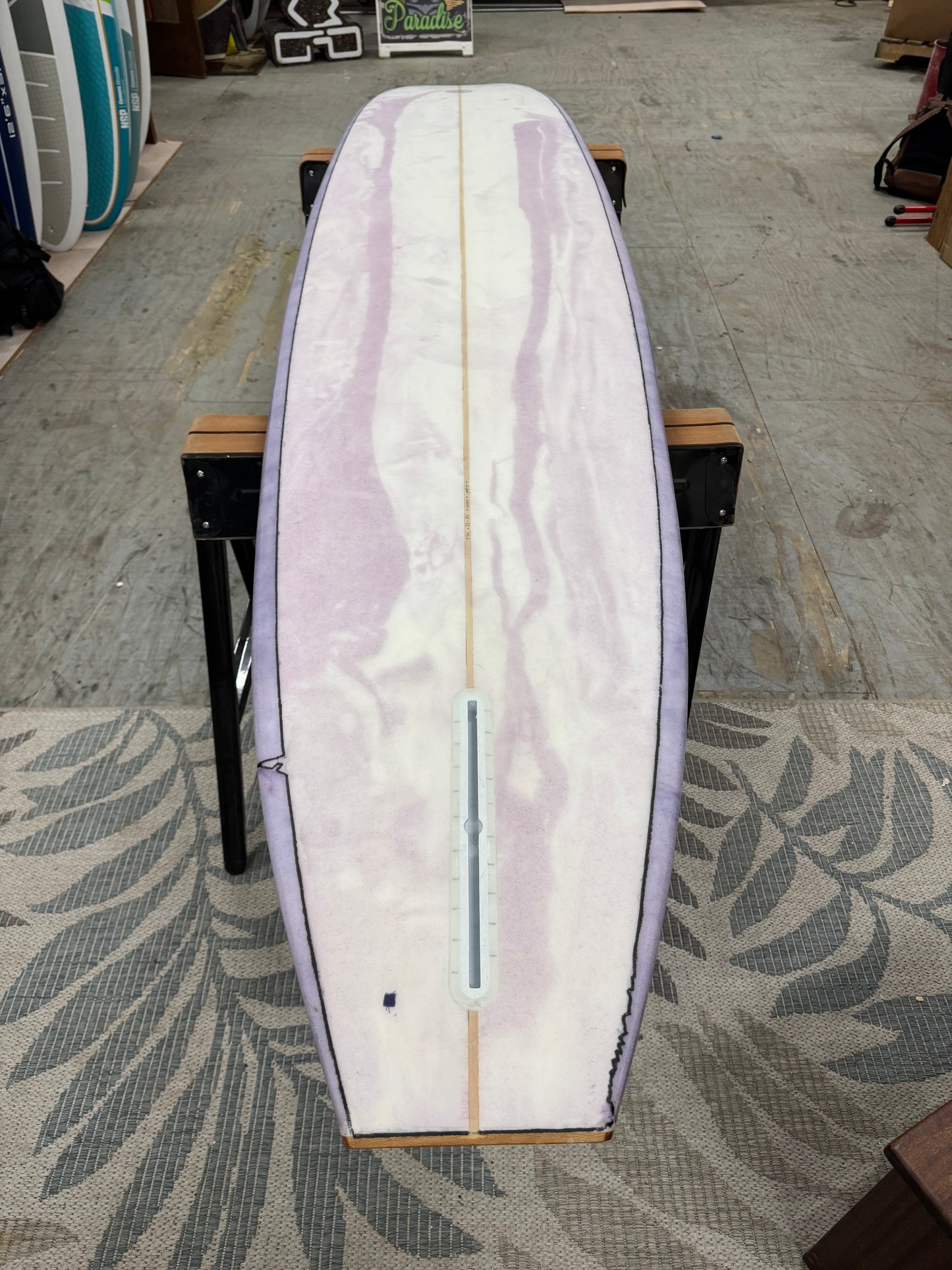 Lake Erie surfboard longboard 9'9