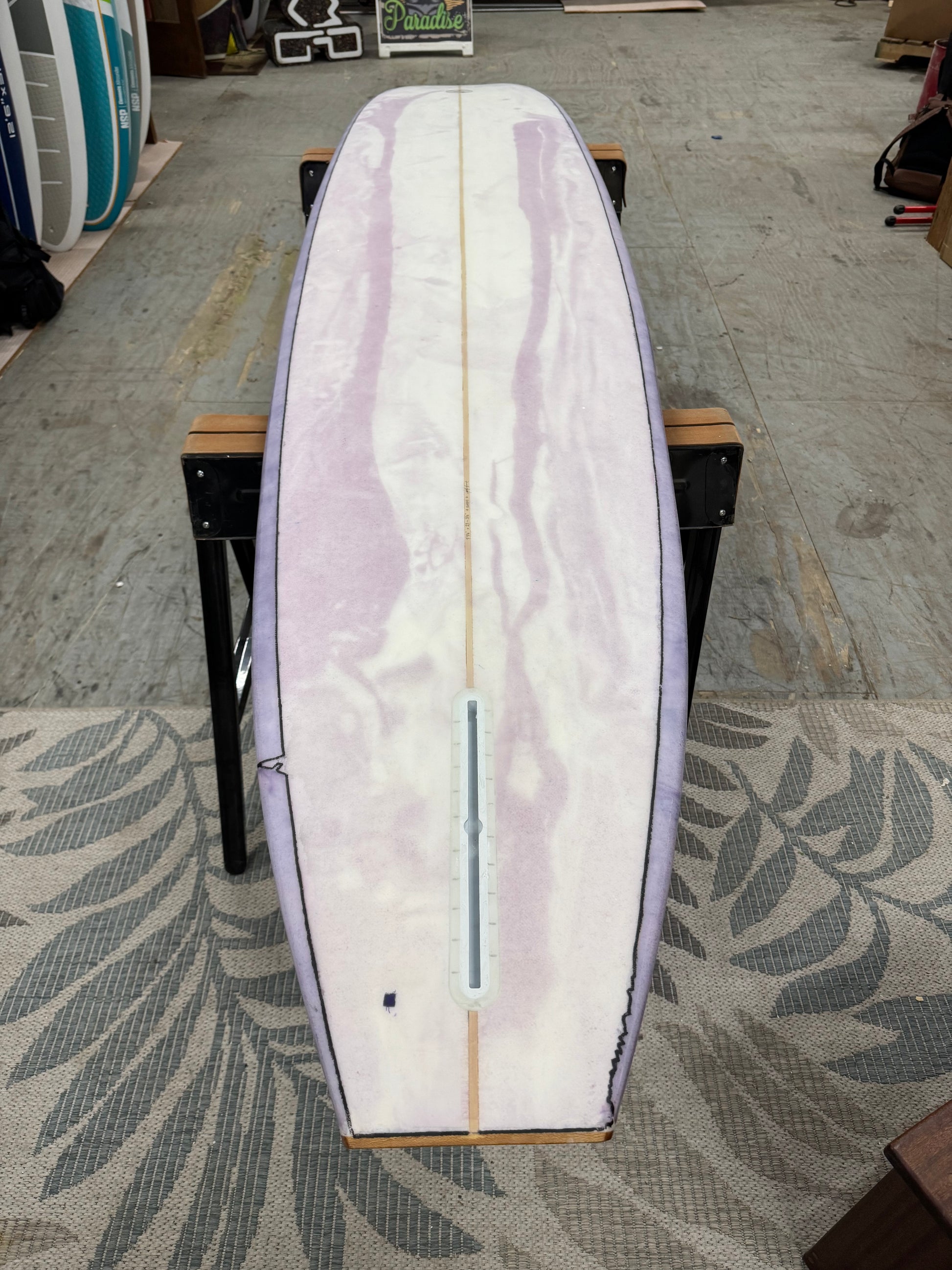 Lake Erie surfboard longboard 9'9
