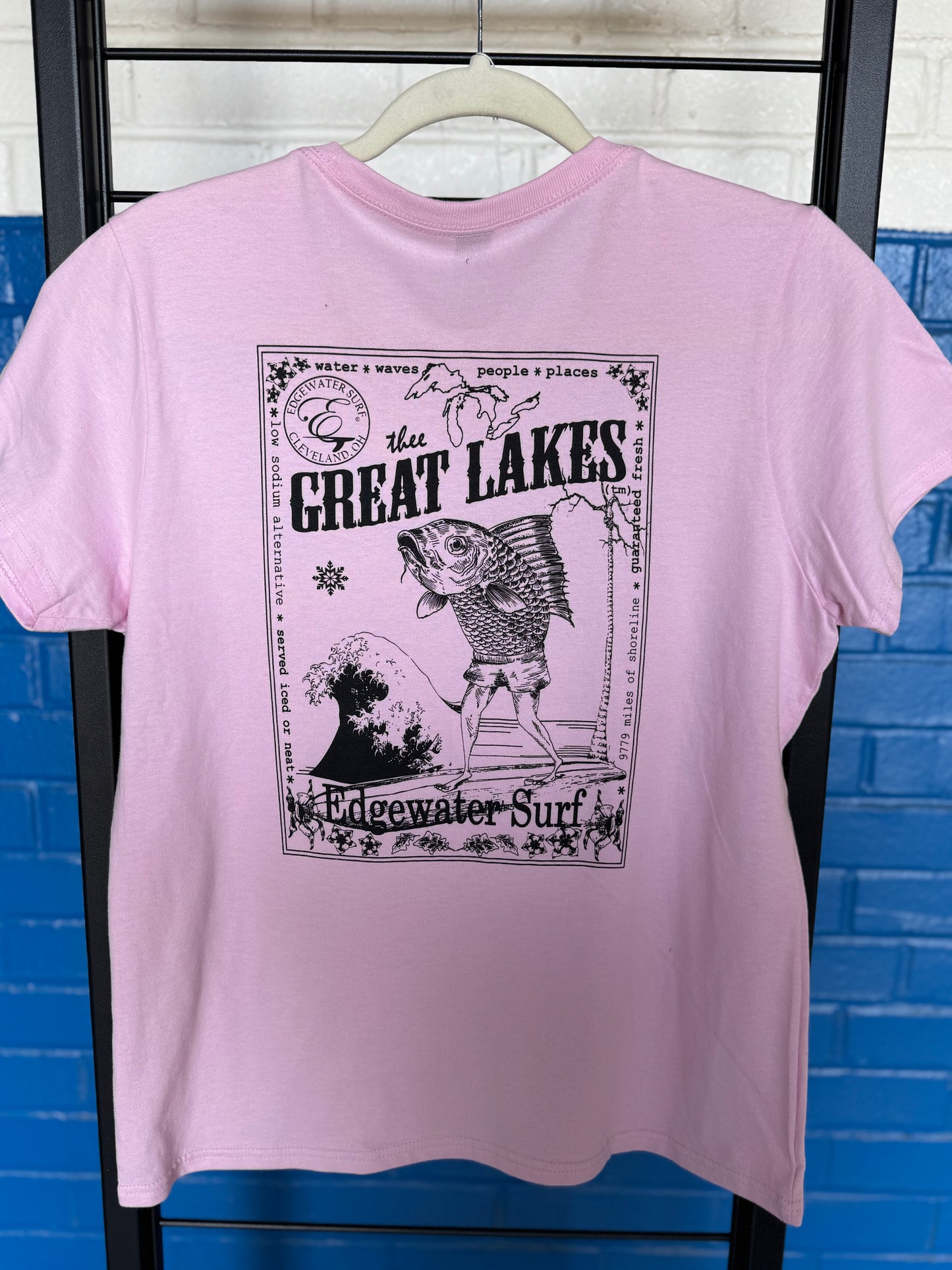 Pink t-shirt with 'Great Lakes' graphic design on a hanger against a blue brick wall.