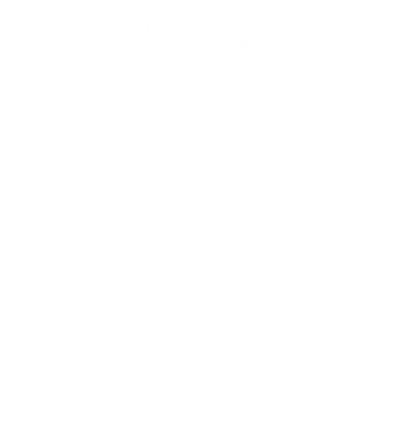 Edgewater Surf